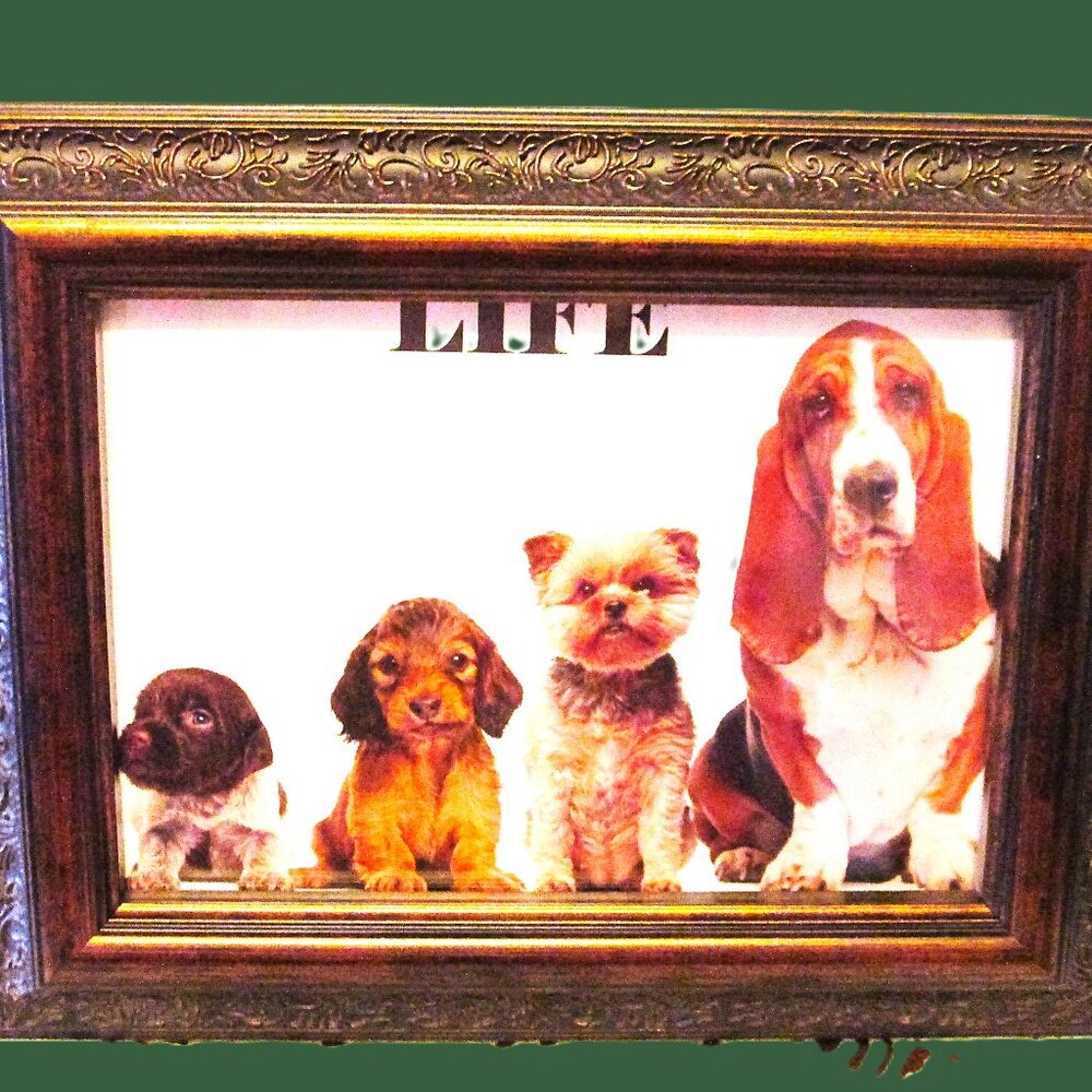 Faux wood ornate design decorative photo frame